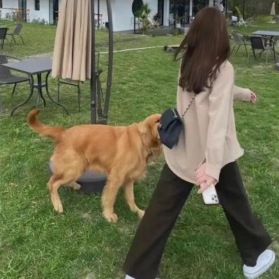 人偶新娘