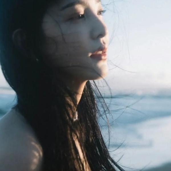 月季花开